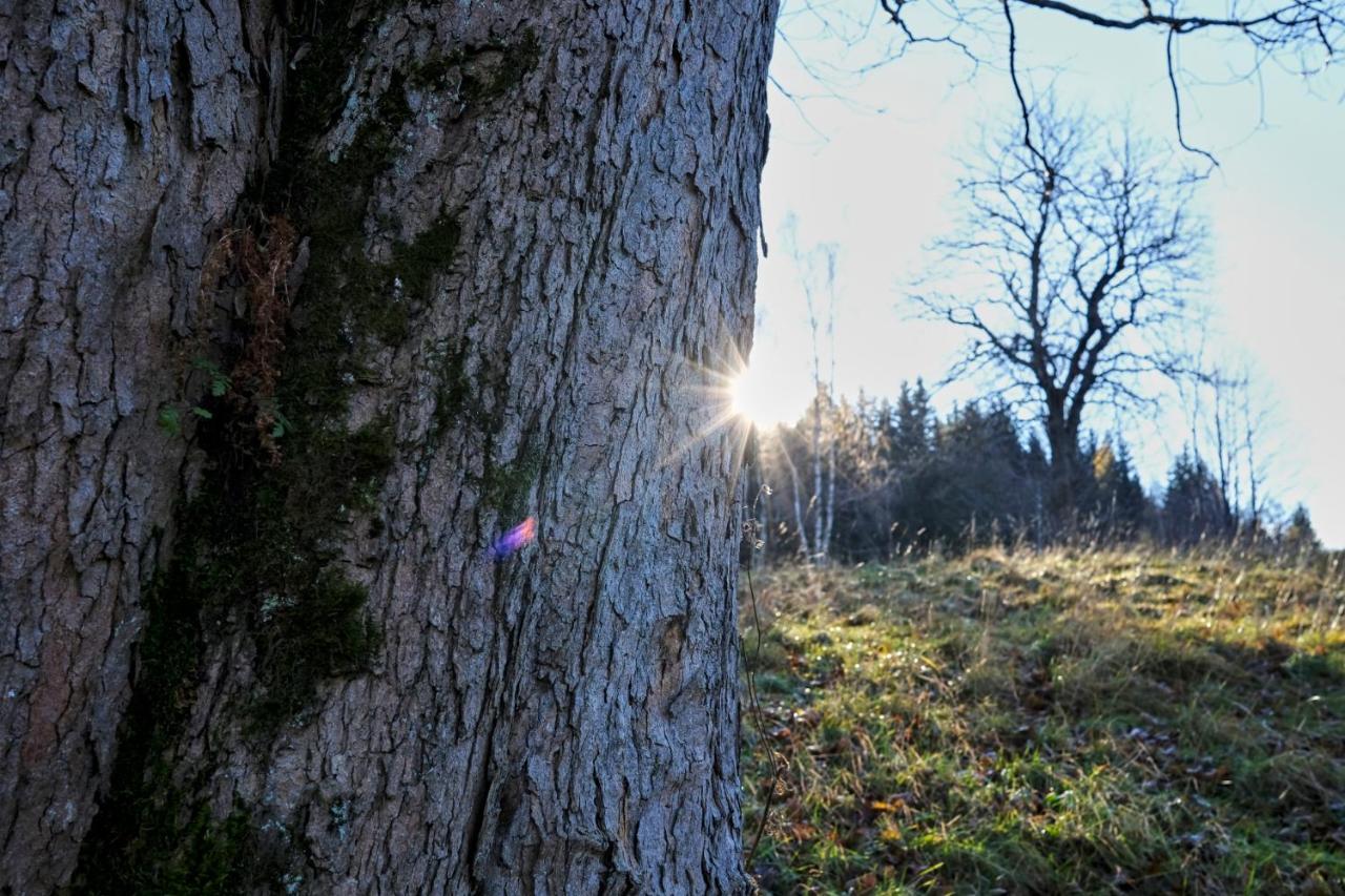 Królikówka Stronie Śląskie Exterior foto