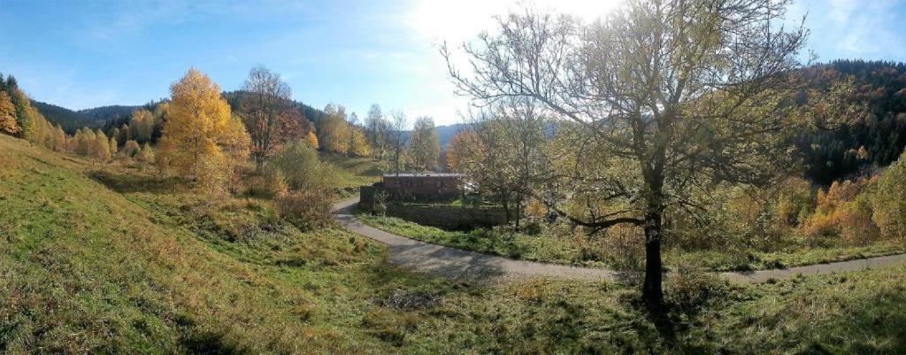 Królikówka Stronie Śląskie Habitación foto
